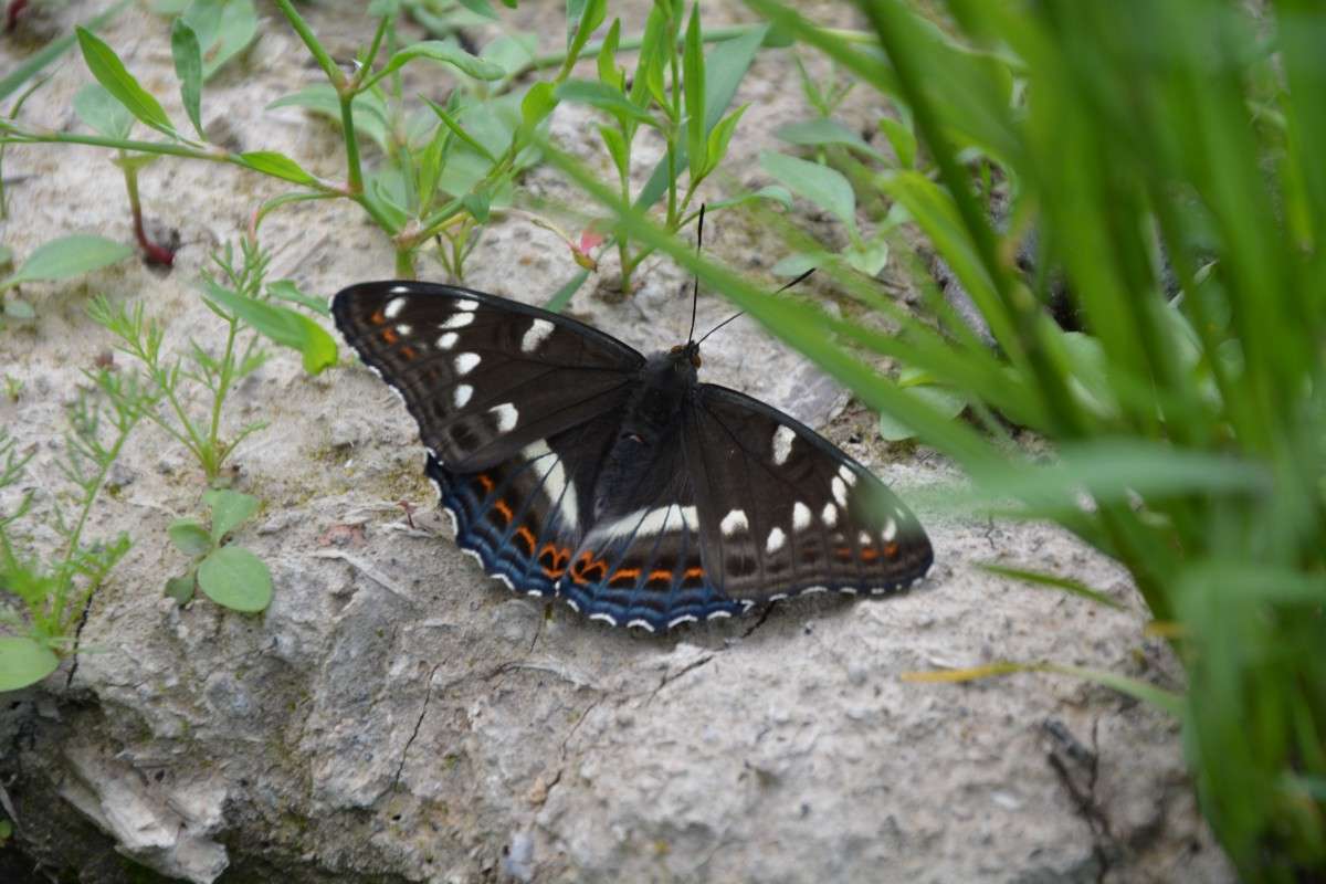 ���������� ����� ������� ����� �� PhotoGeek.ru #����� #�������