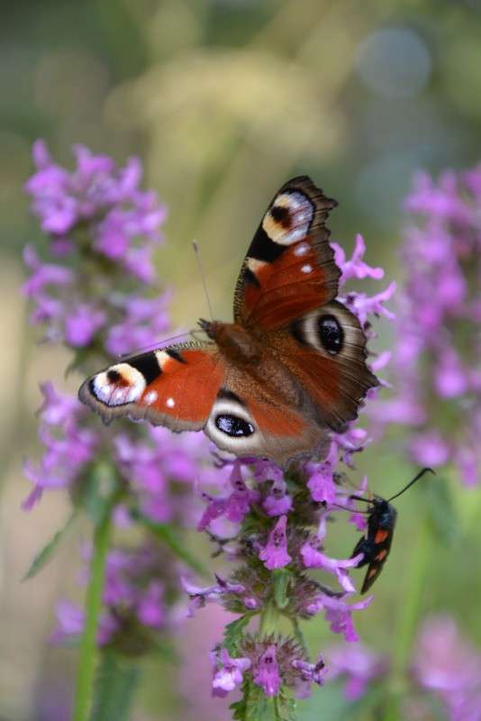 �������� ���� ����� ������� ����� �� PhotoGeek.ru #����� #�������