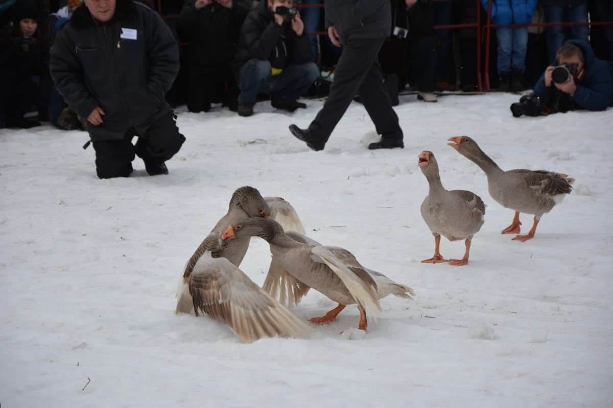 �������. ���������. ������� ���. ����� ������� ����� �� PhotoGeek.ru #�������� ��� #������ ��� ������� #�������� #����� ��������