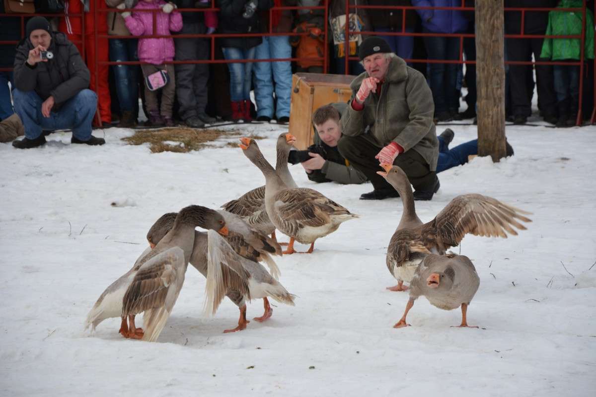 �������. ���������. ������� ���. ����� ������� ����� �� PhotoGeek.ru #�������� ��� #������ ��� ������� #��������