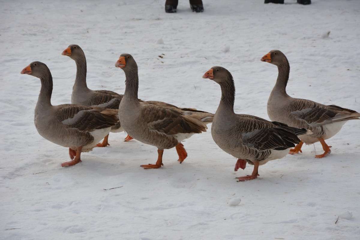 �������. ���������. ������� ���. ����� ������� ����� �� PhotoGeek.ru #�������� ��� #������ ��� ������� #��������