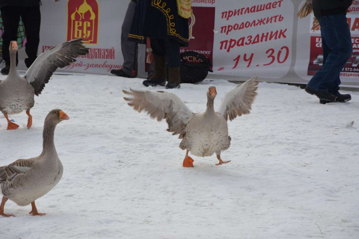 �������. ���������. ������� ���. ����� ������� ����� �� PhotoGeek.ru #�������� ��� #������ ��� ������� #��������