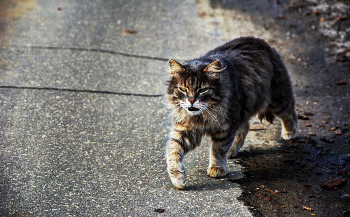 ������... ����� ������� ����� �� PhotoGeek.ru #�������� ��� #�������� ���