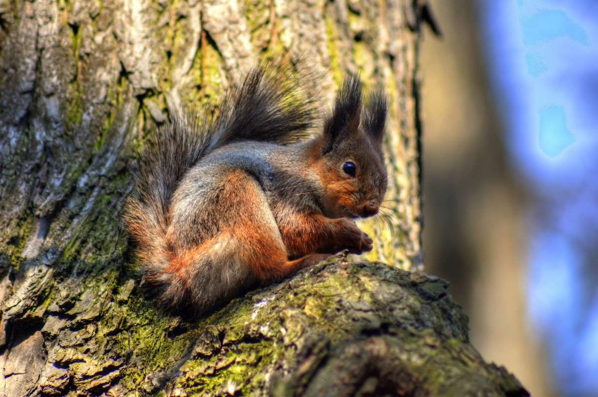 � ������ ���� ������ �����... ����� ������� ����� �� PhotoGeek.ru #����� #������ ��� ������� #����� ��������