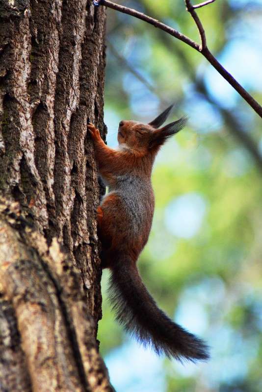 ��������... ) ����� ������� ����� �� PhotoGeek.ru #������ ��� ������� #����� ��������