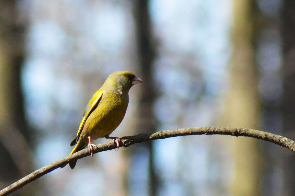 ���� ����� ������� ����� �� PhotoGeek.ru #������ ��� �������