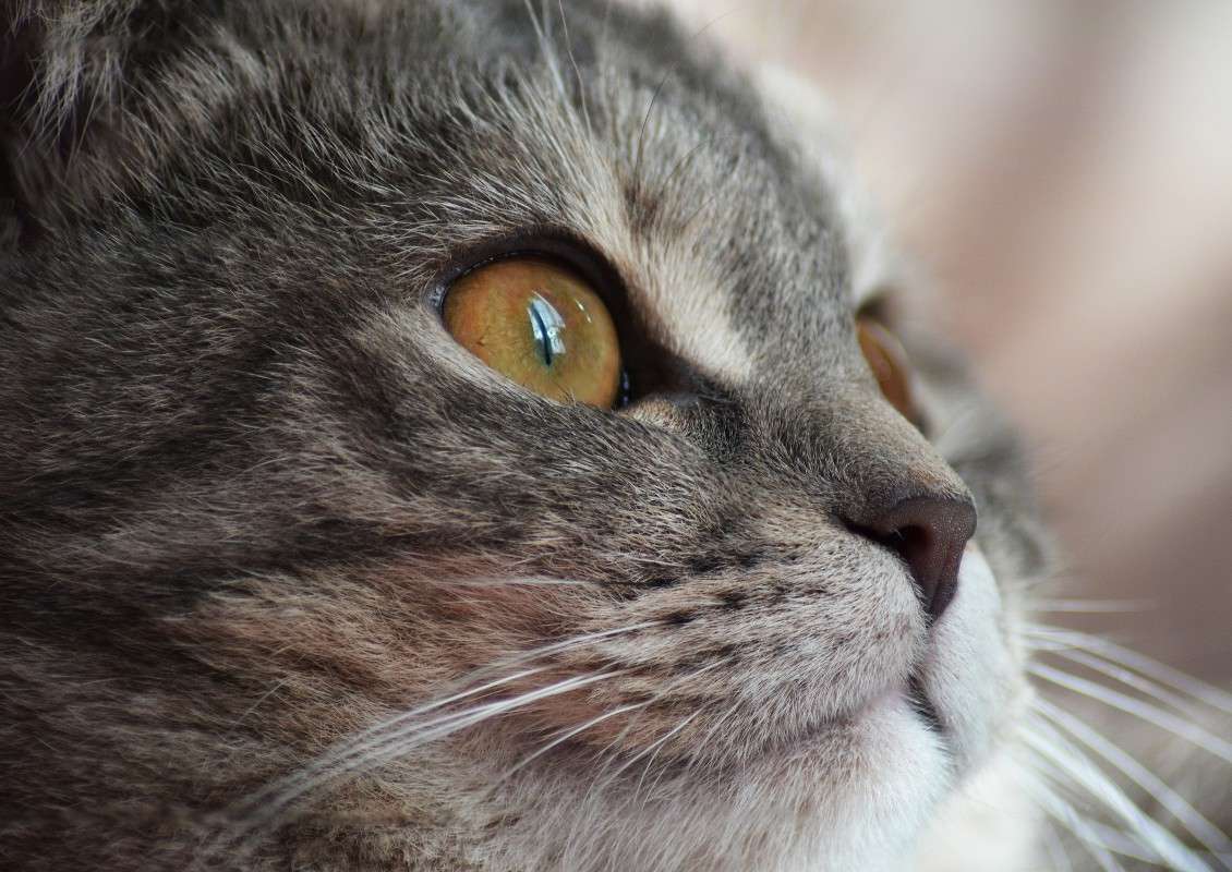 �����. ��������. ����� ������� ����� �� PhotoGeek.ru #����� #�������� ��� #�������