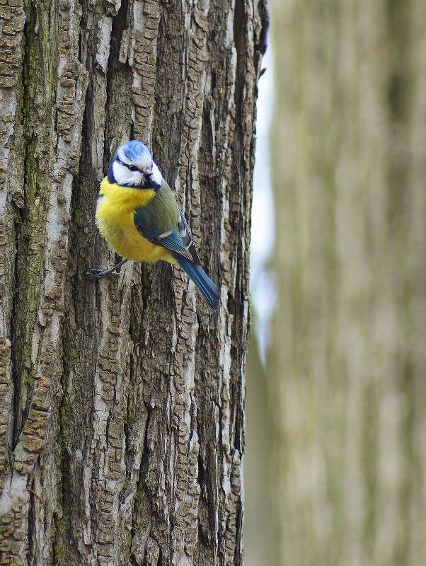 ������ ���������. �������� ����� ������� ����� �� PhotoGeek.ru #�������� ��� #������ ��� �������