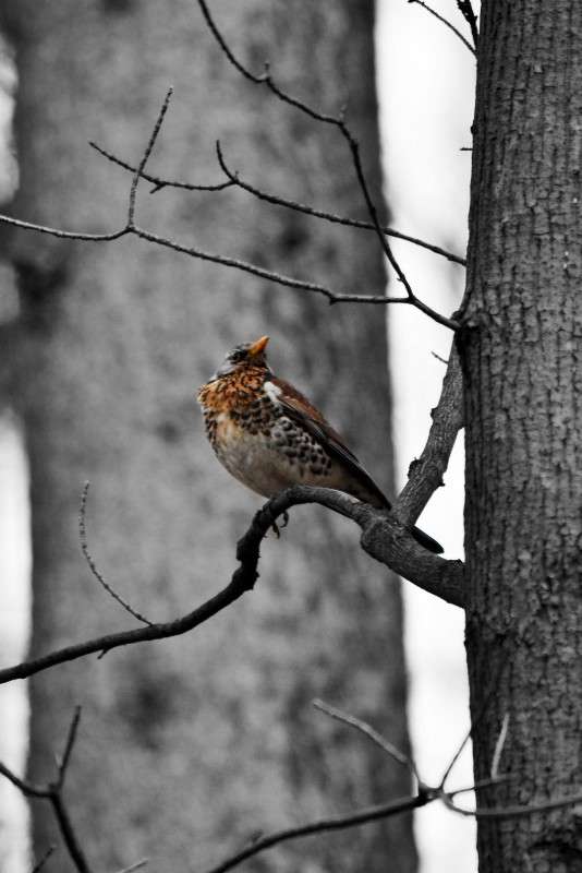 ����� �� ��������. ����� ������� ����� �� PhotoGeek.ru #�������� ��� #������ ��� �������