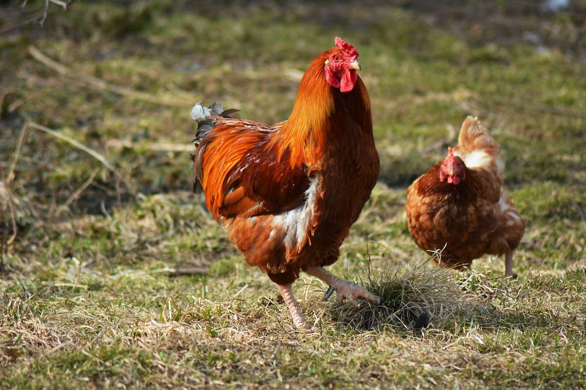 �, ����, ����� �������... ����� ������� ����� �� PhotoGeek.ru #������ ��� �������