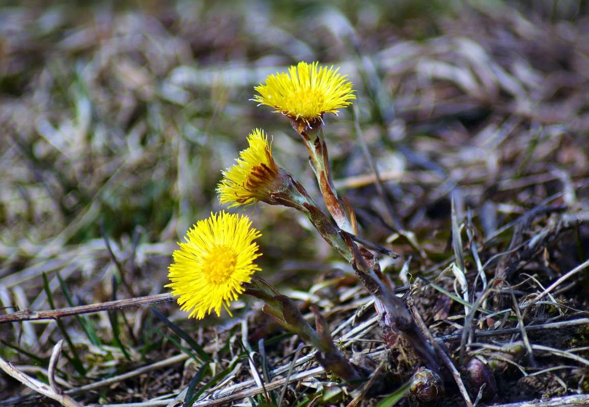 ����... ����� ������� ����� �� PhotoGeek.ru #������ ��� �������