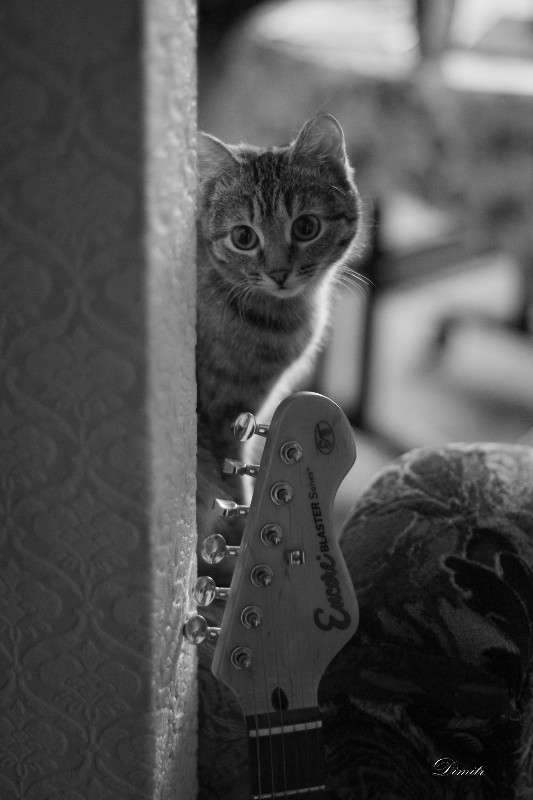 . ����� ������� ������� �� PhotoGeek.ru #�������� ���