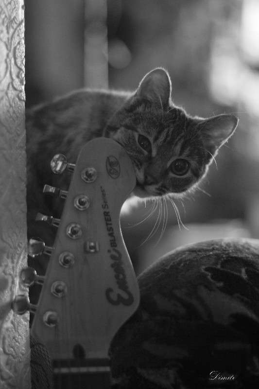 . ����� ������� ������� �� PhotoGeek.ru #�������� ���