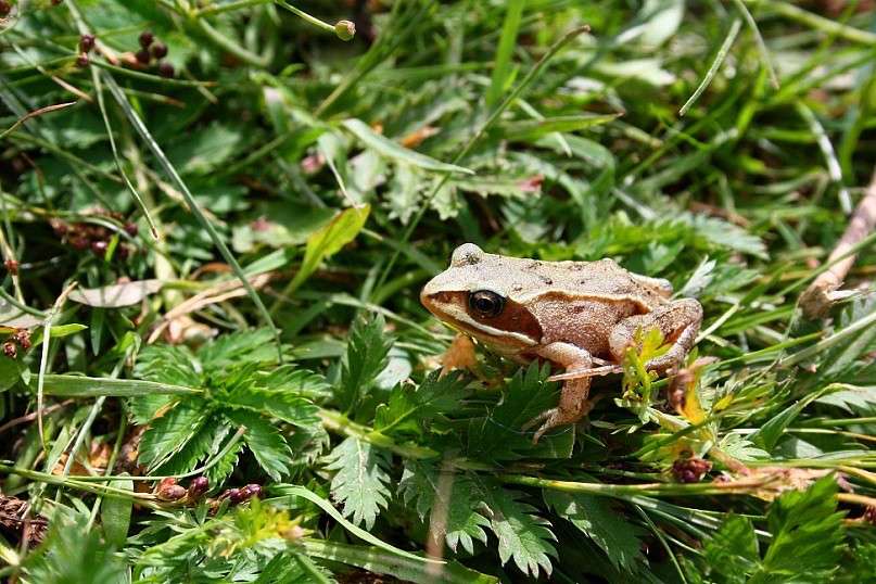 . ����� ������� ������� �� PhotoGeek.ru #�����