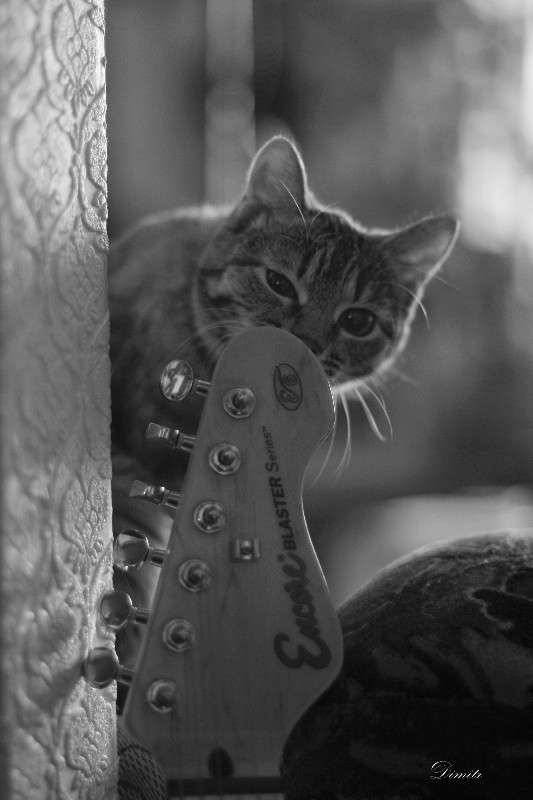 . ����� ������� ������� �� PhotoGeek.ru #�������� ���