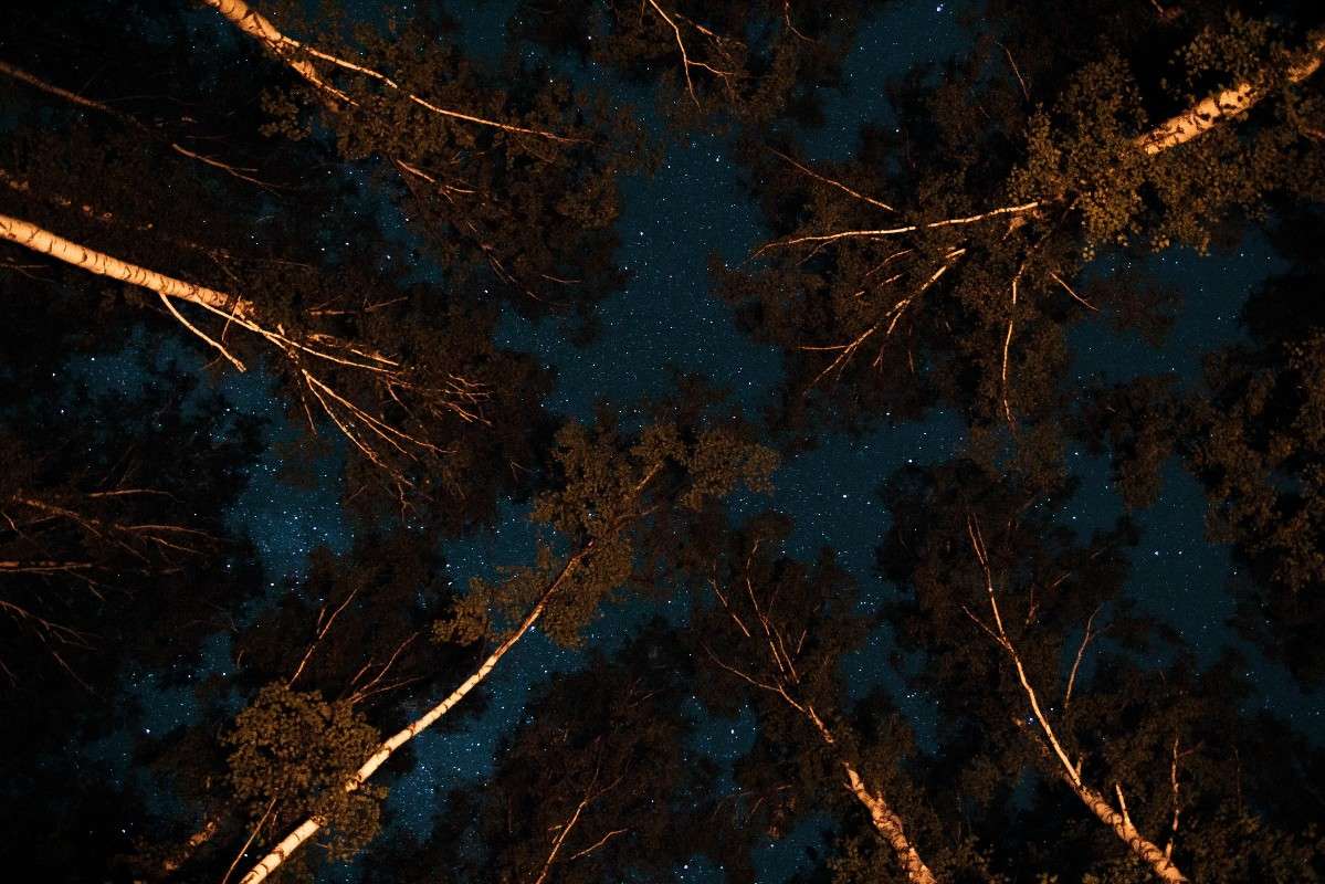 . ����� ������� ������� �� PhotoGeek.ru #������ ��� �������