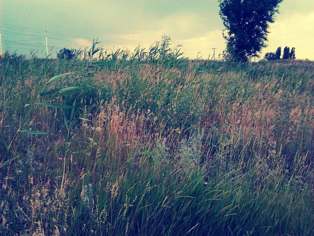 ... ����� ���� ������ �� PhotoGeek.ru #������ ��� ������� #����� ��������������