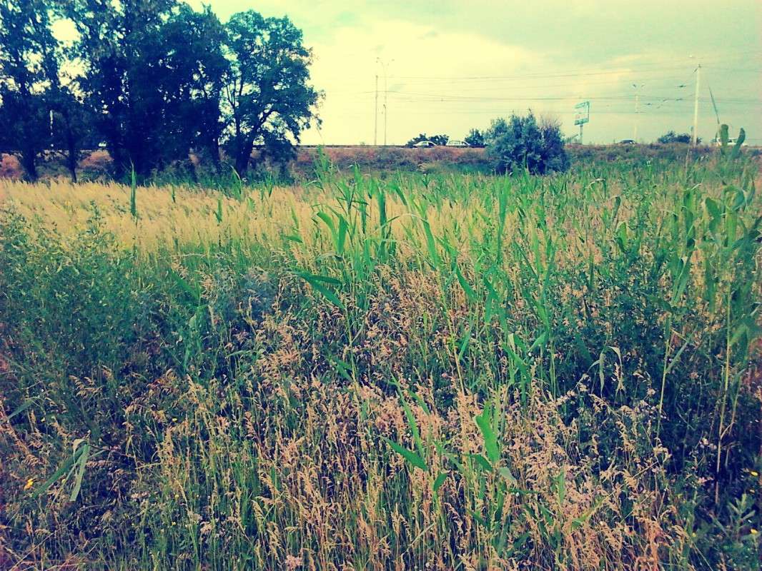 ... ����� ���� ������ �� PhotoGeek.ru #������ ��� ������� #����� ��������