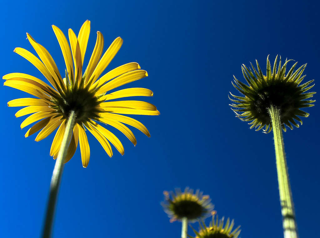 ����� � ������. ����� dragonflight78  �� PhotoGeek.ru #������ ��� ������� #����� �������������� #�����