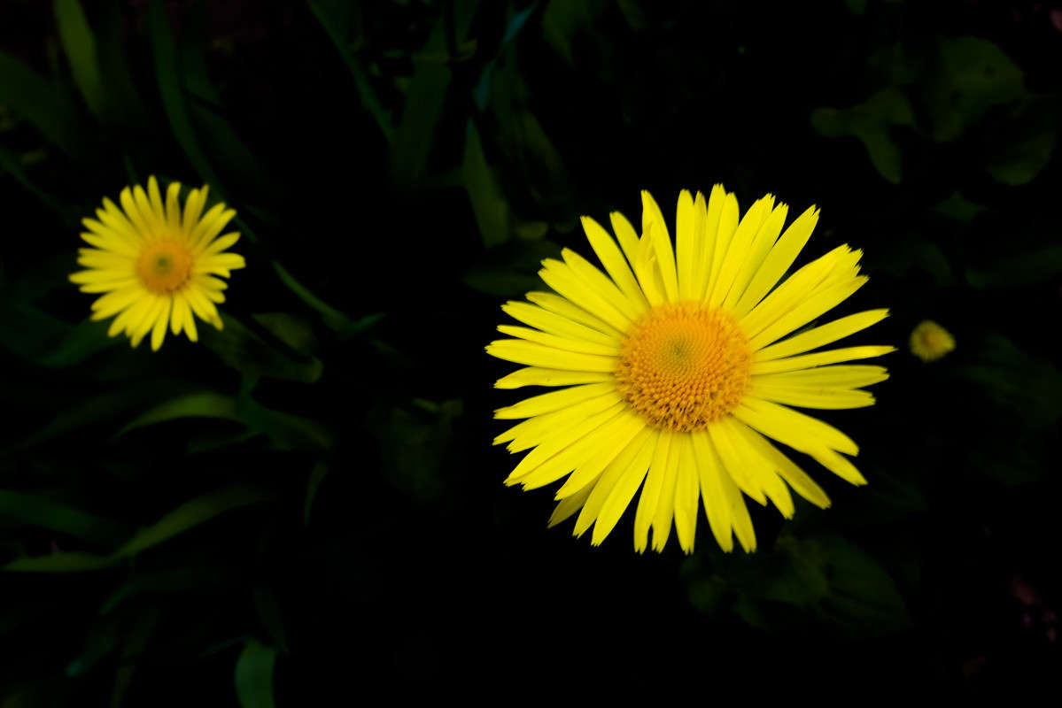 ���. ����� dragonflight78  �� PhotoGeek.ru #����� #����� �������������� #�����