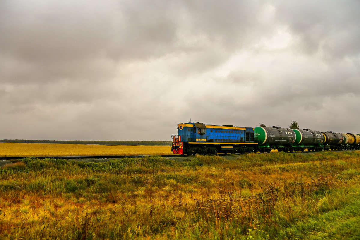 Поезд осени. автор dragonflight78  на PhotoGeek.ru #Пейзаж или природа #Среда обитания