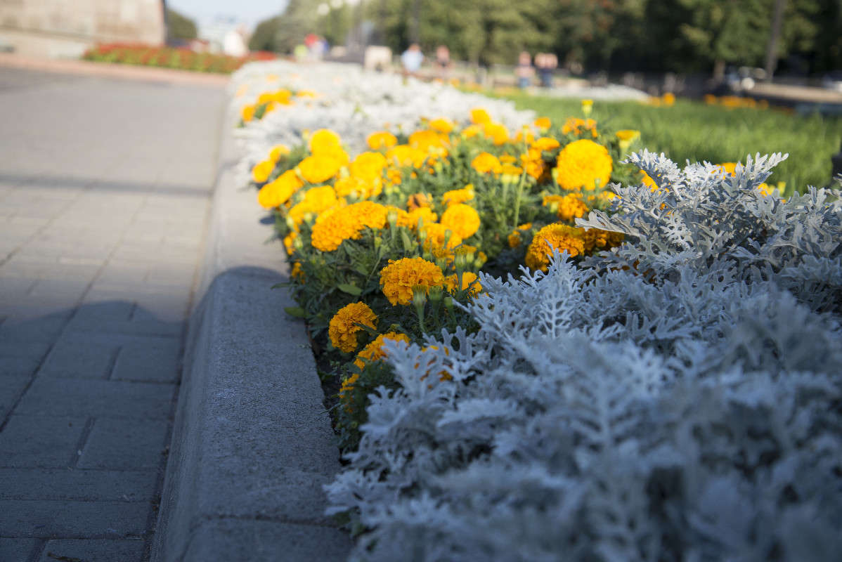 ����� ����� ������ ������ �� PhotoGeek.ru #������ ��� �������