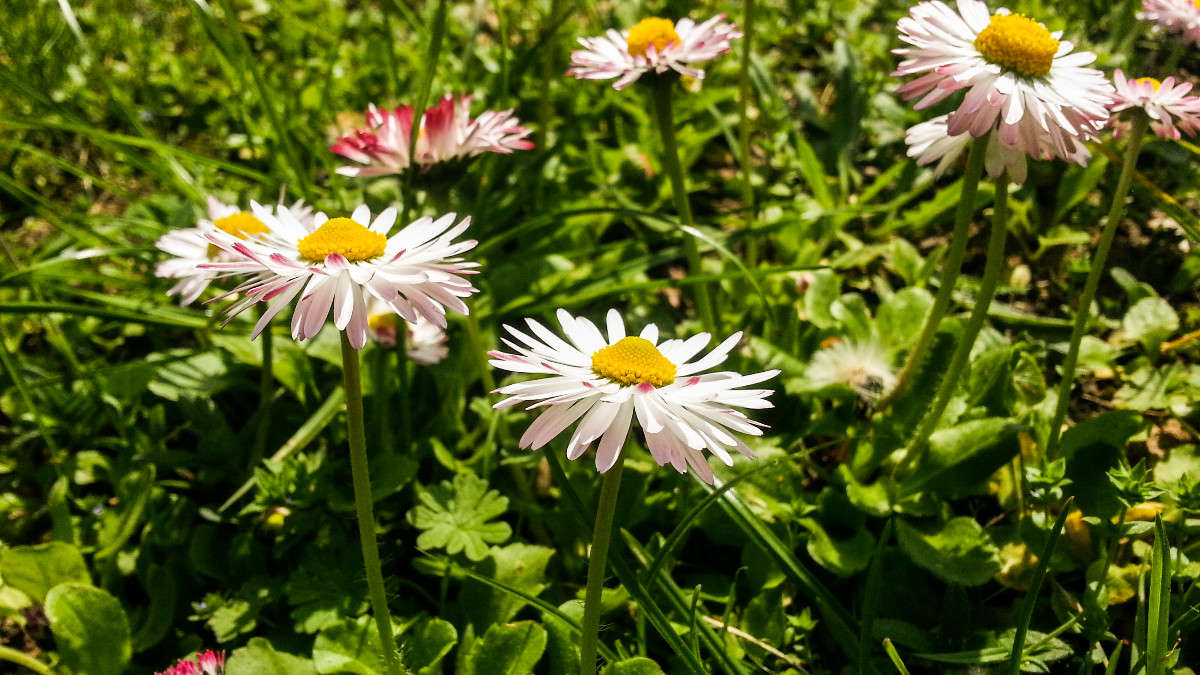 ... ����� ������� ������� �� PhotoGeek.ru #������ ��� �������