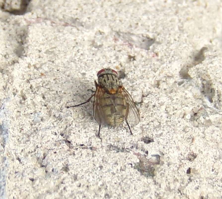 ����. ����� ������� �������� �� PhotoGeek.ru #����� #�������� ��� #����� ��� ��� ���������