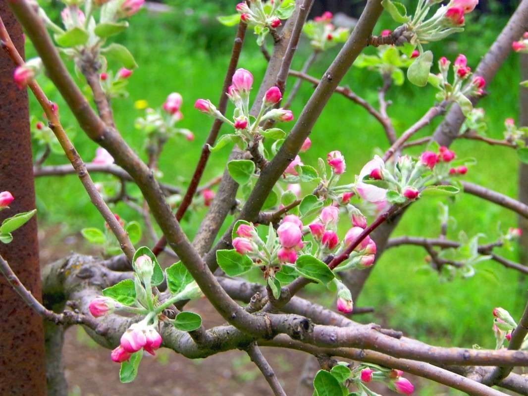 ����� ����� ������� �������� �� PhotoGeek.ru #������ ��� ������� #����� ��������������