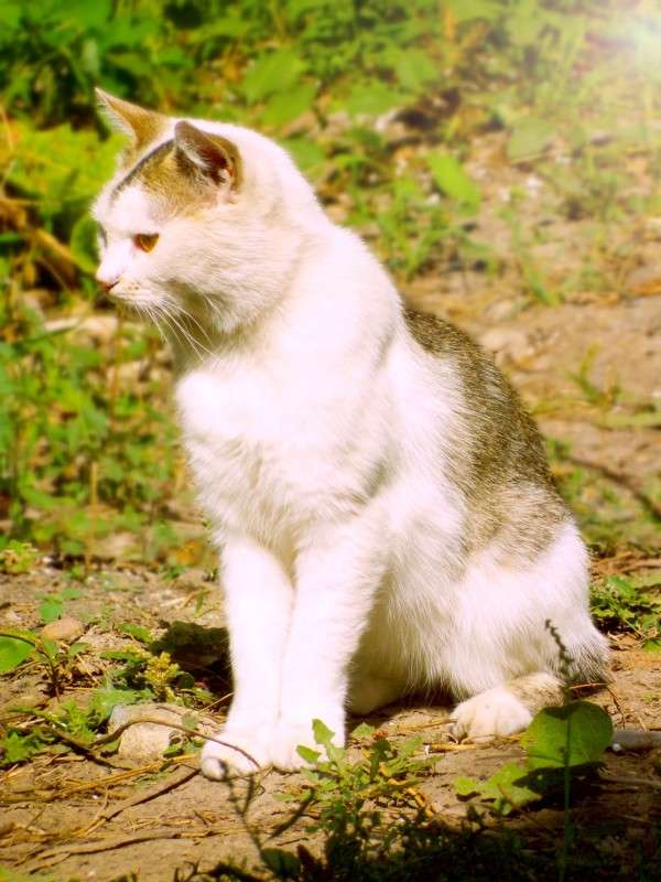 ���� ����� ������� �������� �� PhotoGeek.ru #�������� ��� #�������