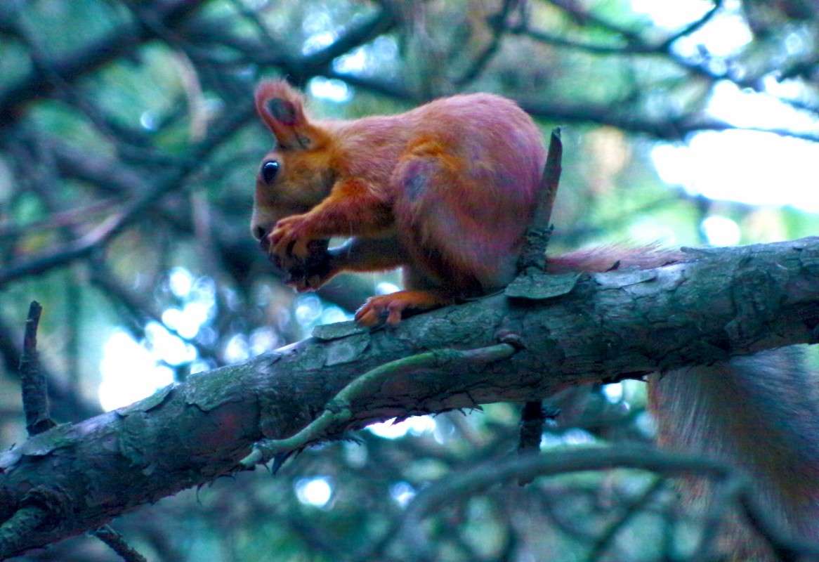 ����� ����� ������� �������� �� PhotoGeek.ru #�������� ��� #����� ��� ��� ���������