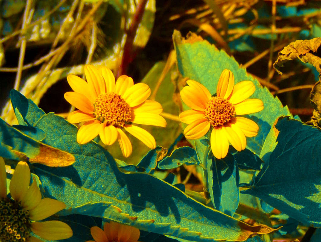 ������� ���������� ����� ������� �������� �� PhotoGeek.ru #����� #������ ��� ������� #����� ��������������