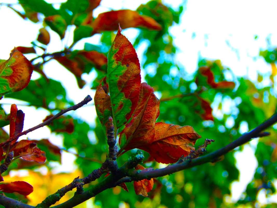 ����� ����� ������� �������� �� PhotoGeek.ru #������ ��� ������� #����� ��������������