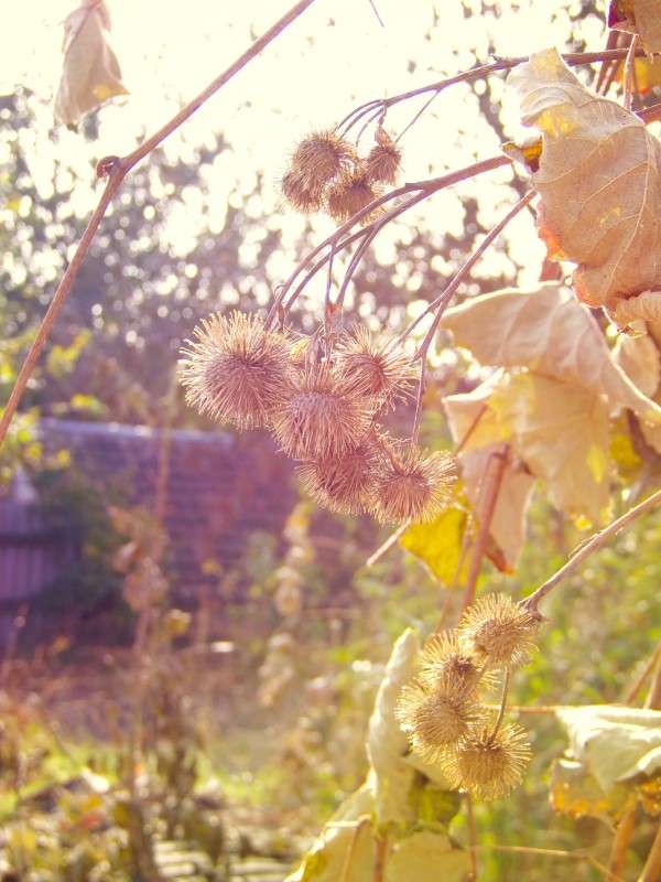 ����� ������... ����� ������� �������� �� PhotoGeek.ru #����� #������ ��� ������� #����� ��������������