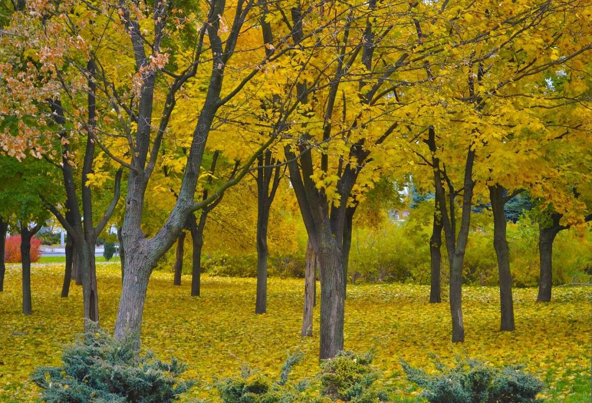 ������� ���� ����� ������� �������� �� PhotoGeek.ru #����� #������ ��� ������� #��������� ������ #����� ��������������