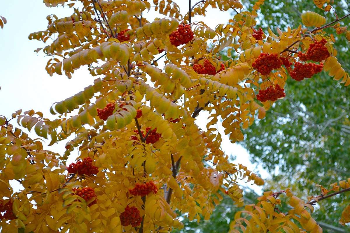 ������! ����� ������� �������� �� PhotoGeek.ru #������ ��� ������� #����� ��������������