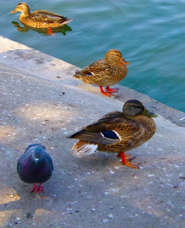 ������ ����� ����� ������� �������� �� PhotoGeek.ru #�������� ��� #������ ��� ������� #����� ��� ��� ��������� #����� ��������