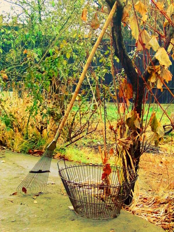 ������� ������ ����� ������� �������� �� PhotoGeek.ru #����� #������ ��� ������� #����� ��������������