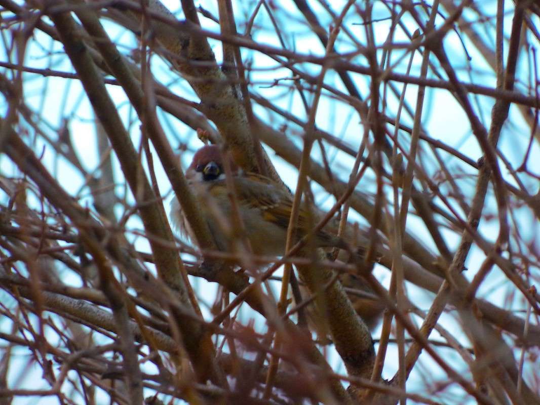 ��������� ����� ������� �������� �� PhotoGeek.ru #�������� ��� #������ ��� ������� #����� ��� ��� ��������� #����� �������������� #����� ��������