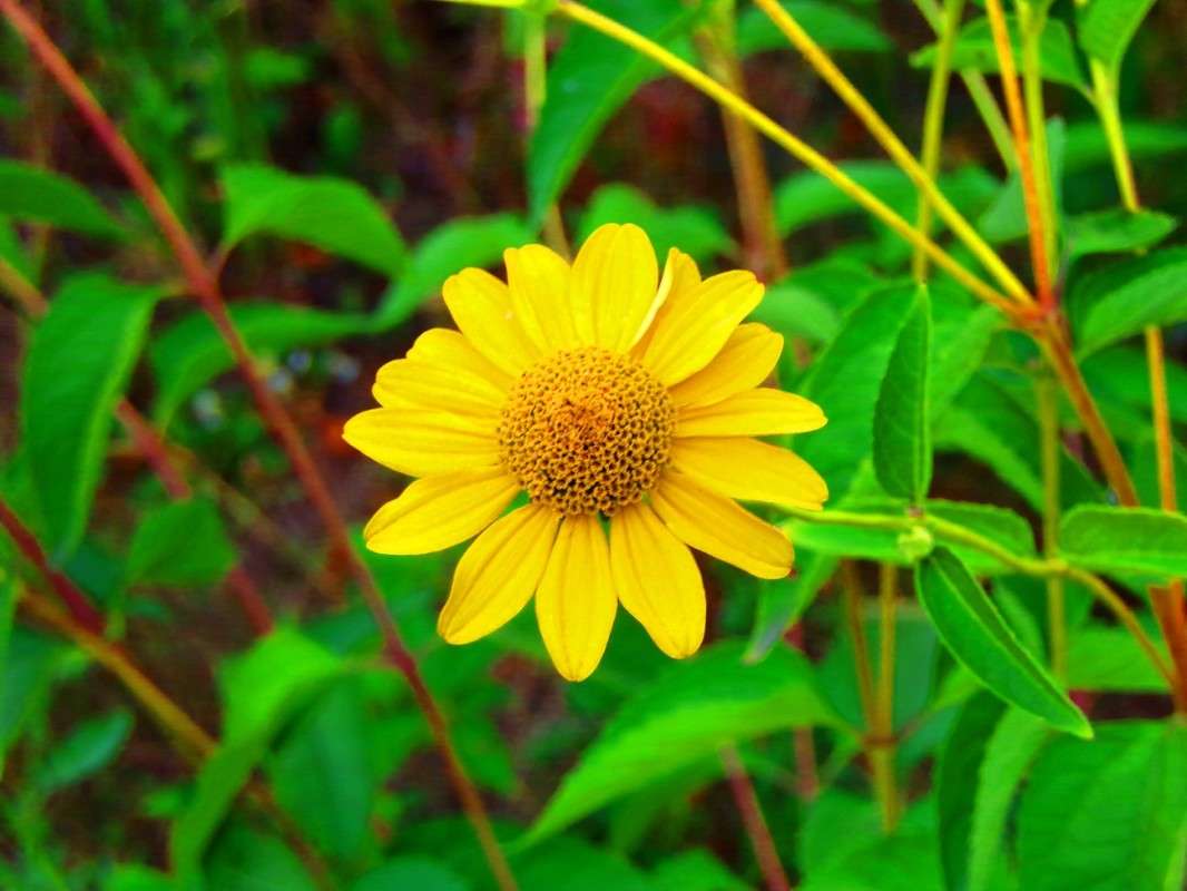 ����� ����� ������� �������� �� PhotoGeek.ru #������ ��� ������� #����� ��������������