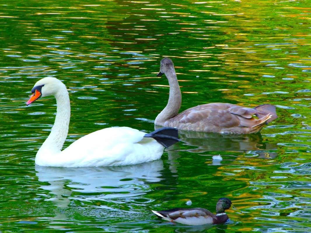 ������ ����� ������� �������� �� PhotoGeek.ru #�������� ��� #������ ��� ������� #����� ��� ��� ��������� #����� ��������