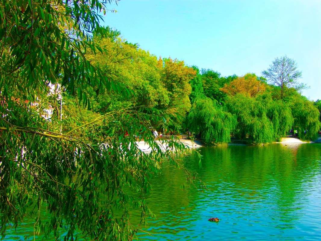 ������ ����� ������� �������� �� PhotoGeek.ru #����� #������ ��� ������� #������ ���� #��������� ������ #����� ��������������