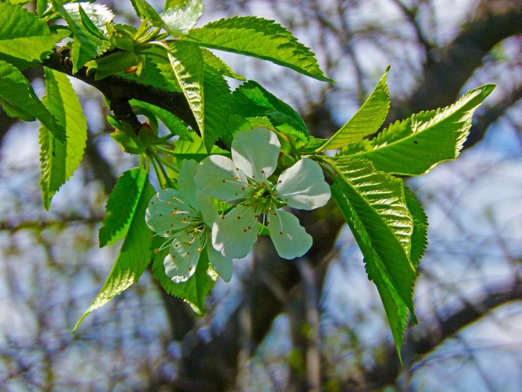 �������� ���� ����� ������� �������� �� PhotoGeek.ru #����� #������ ��� ������� #����� ��������������