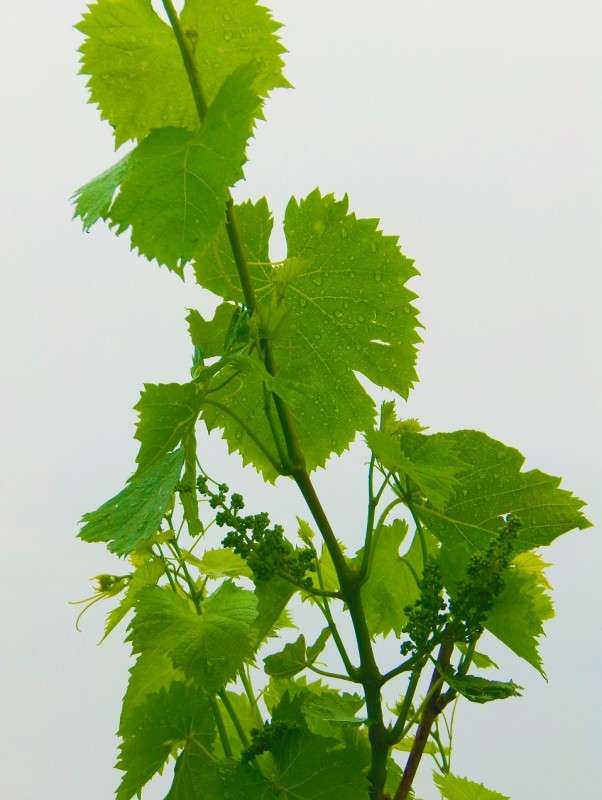 �� ���� ��������� ����... ����� ������� �������� �� PhotoGeek.ru #����� #������ ��� ������� #����� ��������������