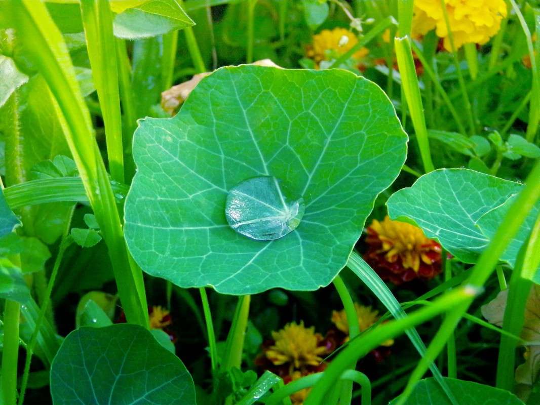 ����� ����� ����� ������� �������� �� PhotoGeek.ru #����� #����� ��������������