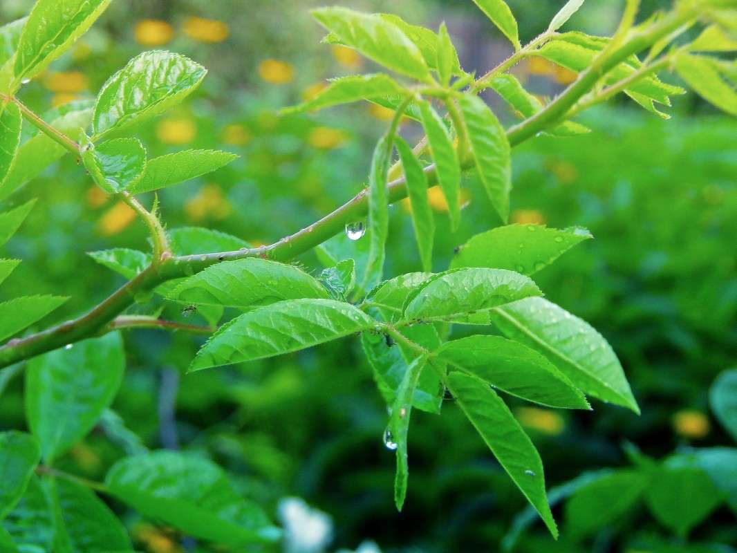 ����� ����� ������� �������� �� PhotoGeek.ru #����� #����� ��������������