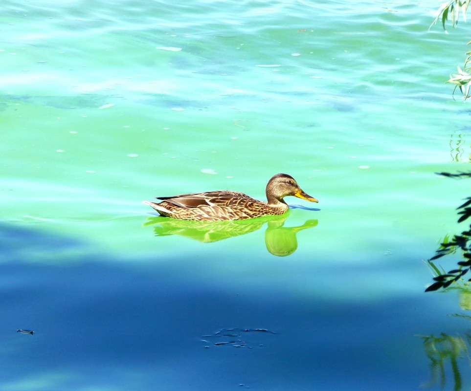 ������ ����� ������� �������� �� PhotoGeek.ru #�������� ��� #����� ��� ��� ���������