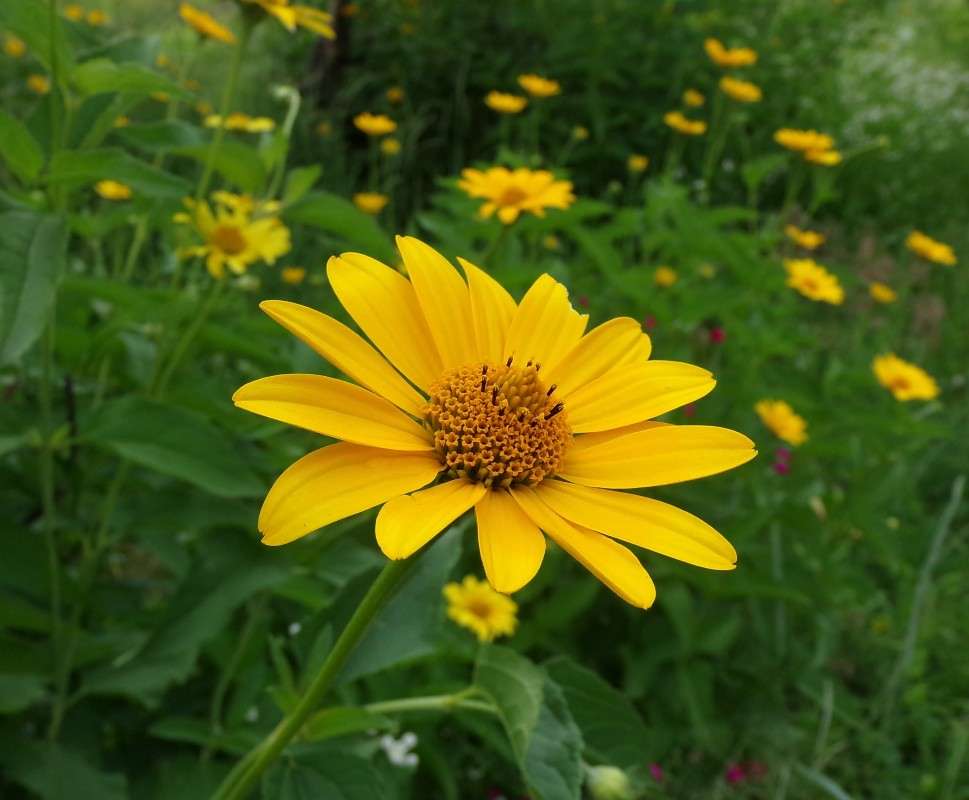 ... ����� ������� �������� �� PhotoGeek.ru #����� #����� ��������������