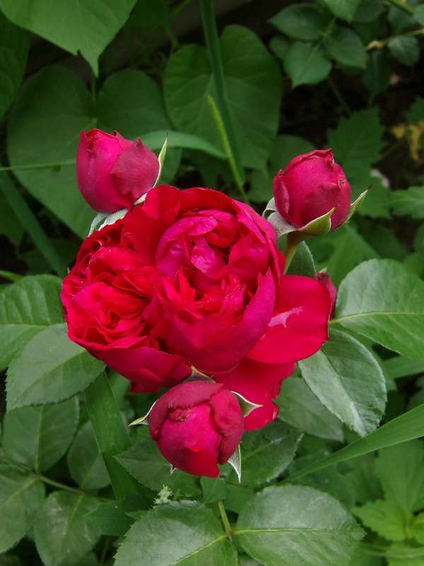 ���� ����� ������� �������� �� PhotoGeek.ru #����� #����� ��������������