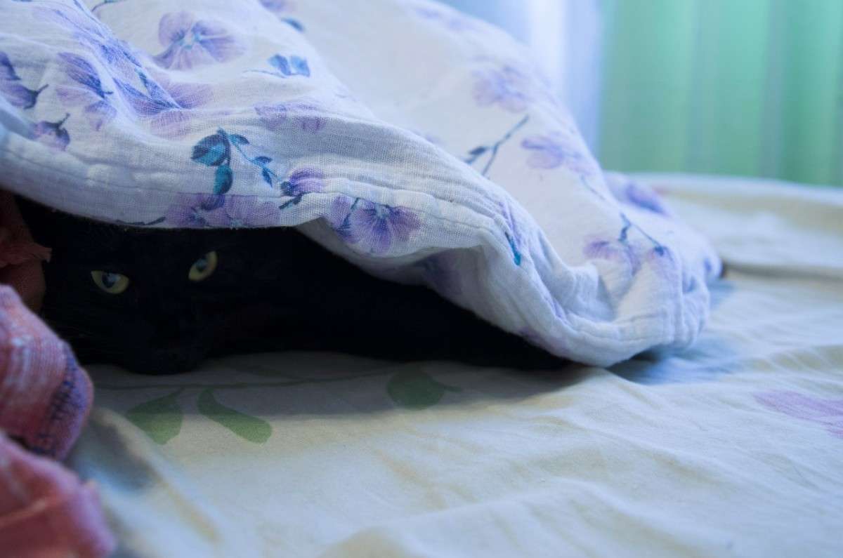 ... ����� ������ ������� �� PhotoGeek.ru #�������� ���